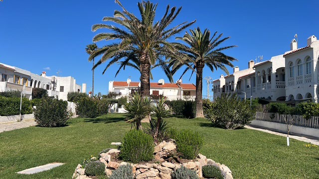 Jardin avec palmiers